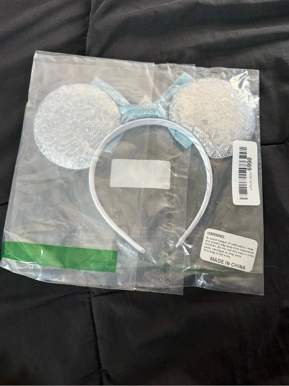 Cinderella Mickey Ears